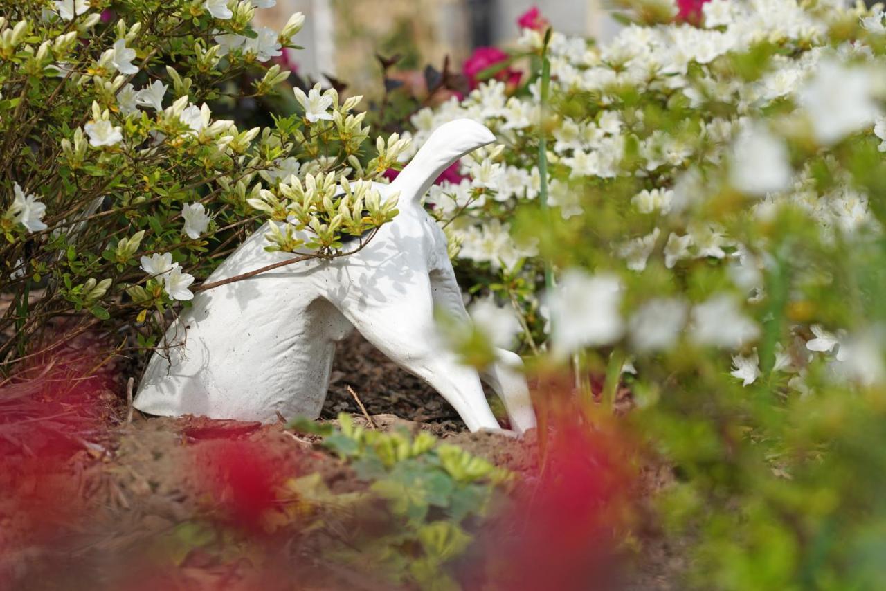 Gite Du Jardin Theux Exterior foto