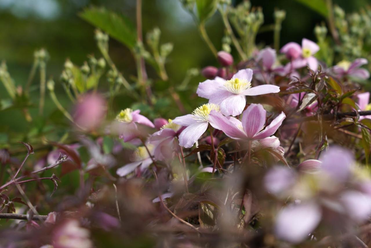 Gite Du Jardin Theux Exterior foto